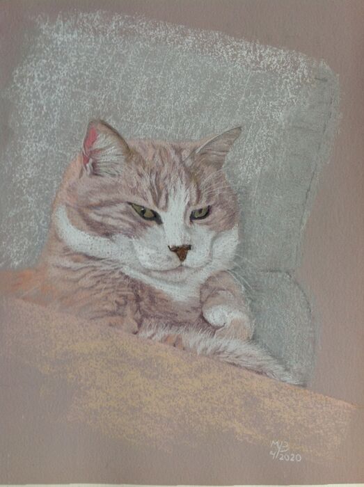 Pastelportret van de kat Bram