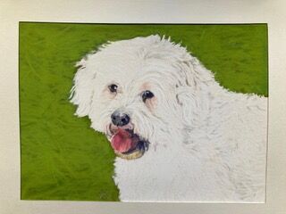 Pastelportret
