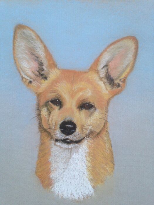 Pastelportret
